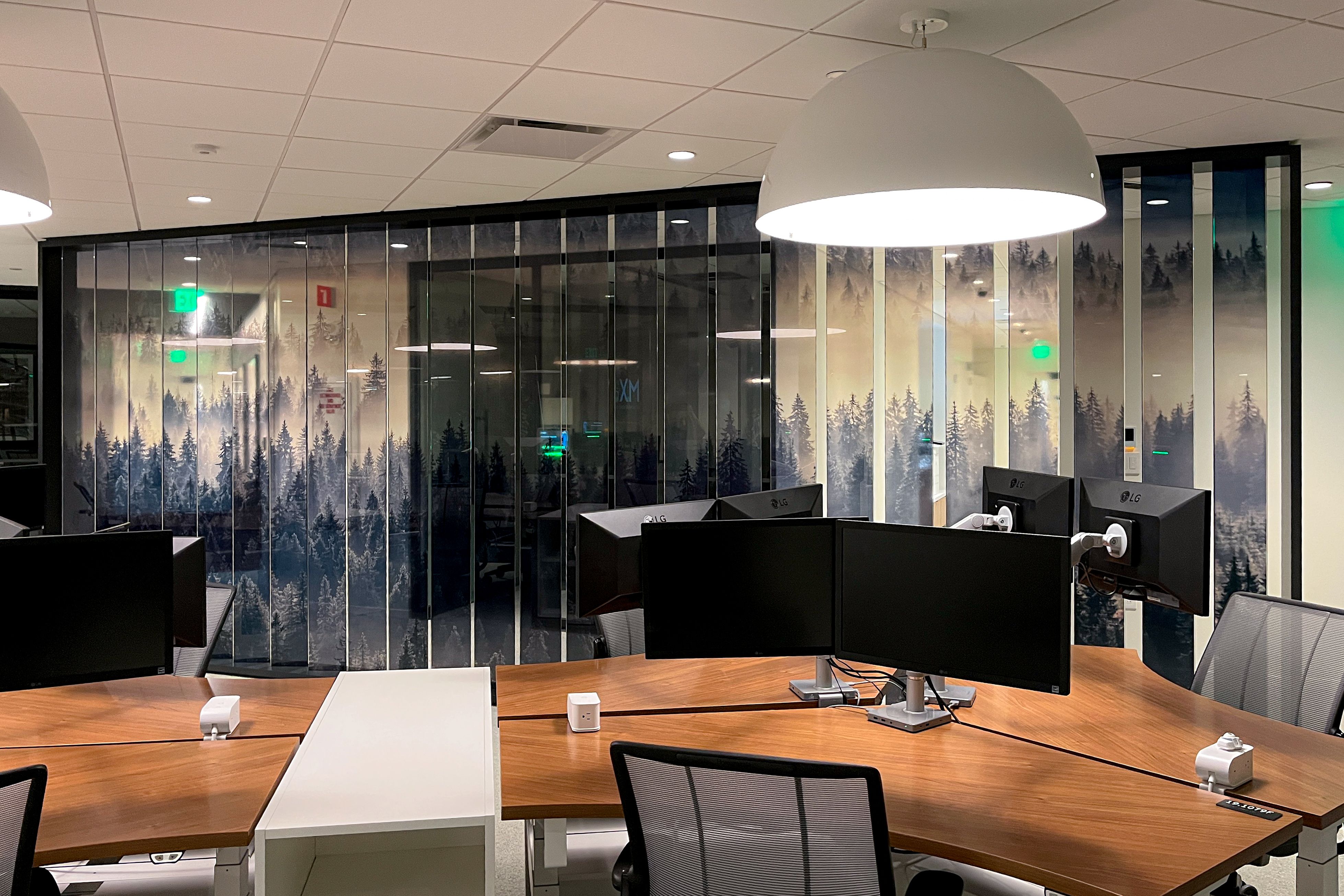 Thin vertical glass fins with a transluscent forest print divide an open office.