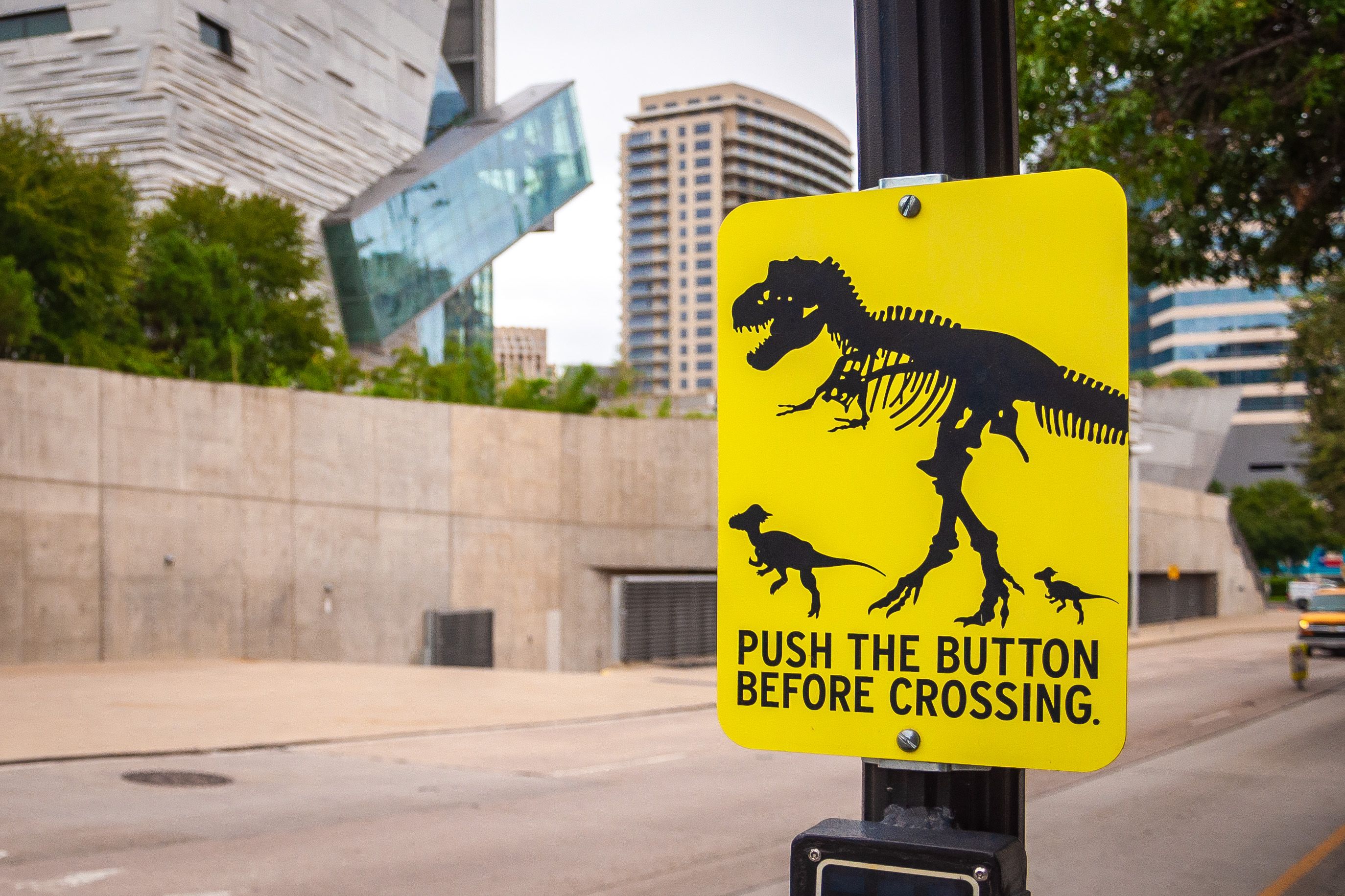 A pedestrian crossing sign with a dinosaur bone graphics is mounted to a pole across the street the museum.