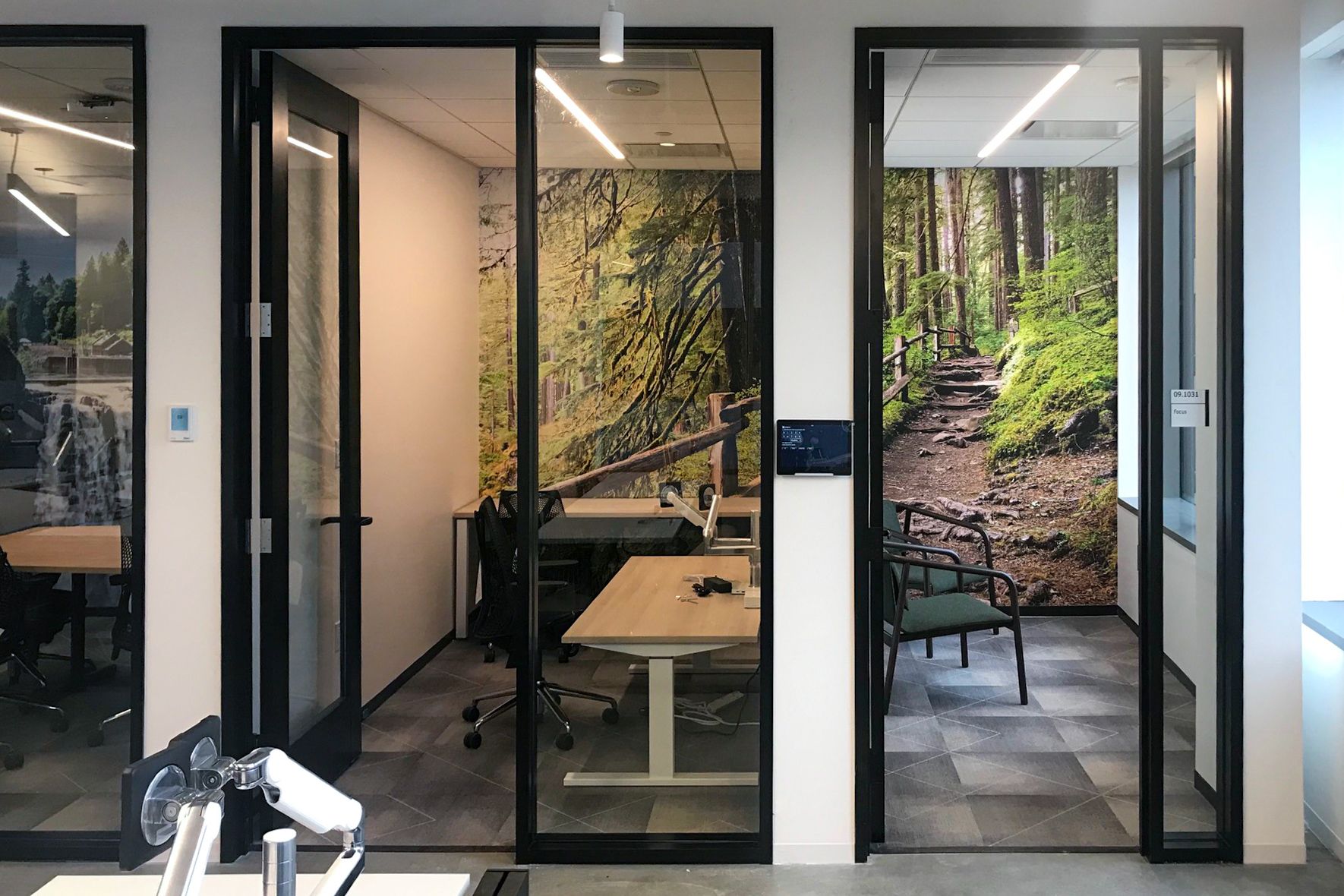 A couple of focus rooms in an office are decorated with large printed wall graphics. Both graphics show a forest scene, and when viewed together, the graphics create a continuous scene.